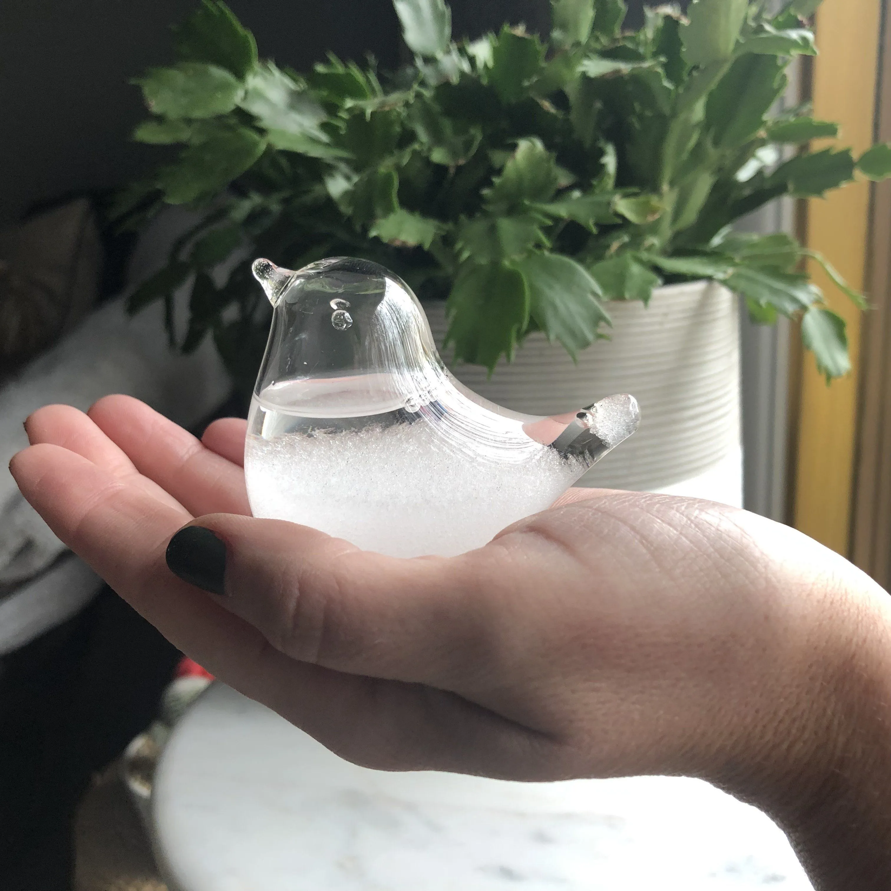 Bird Storm Glass