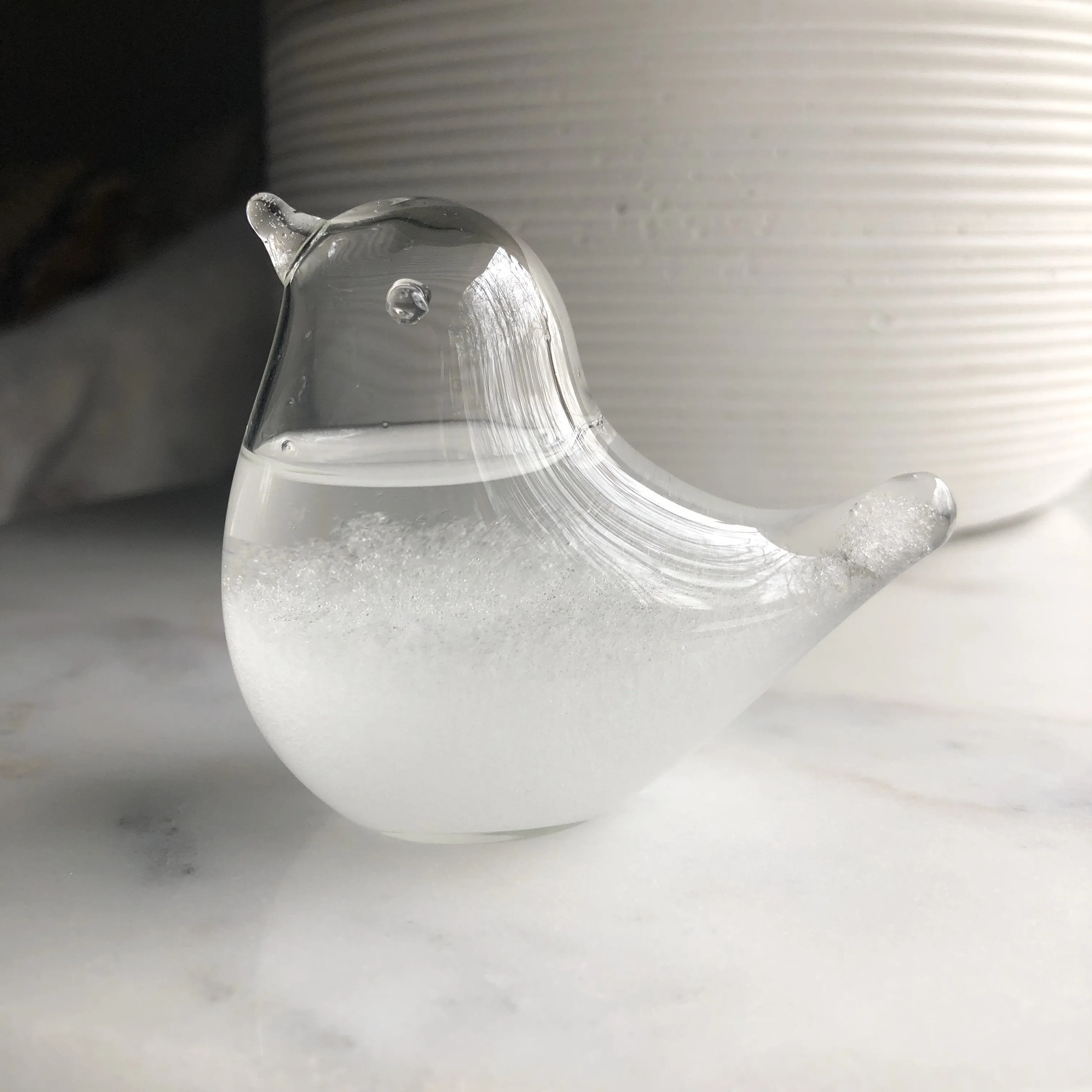 Bird Storm Glass