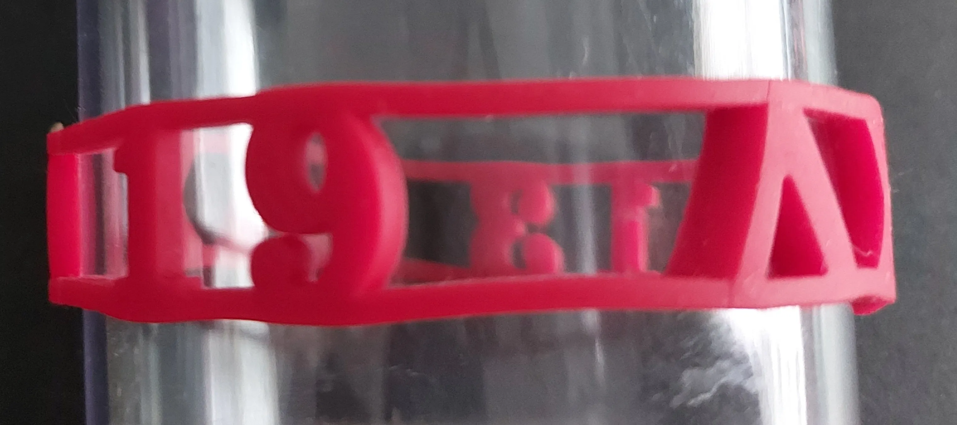 Delta Sigma Theta 1913 Wristband(Thick)