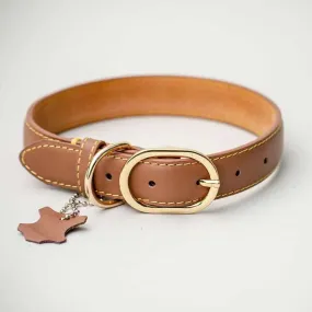 Lederhalsband für Hunde "Summer" - BRAUN