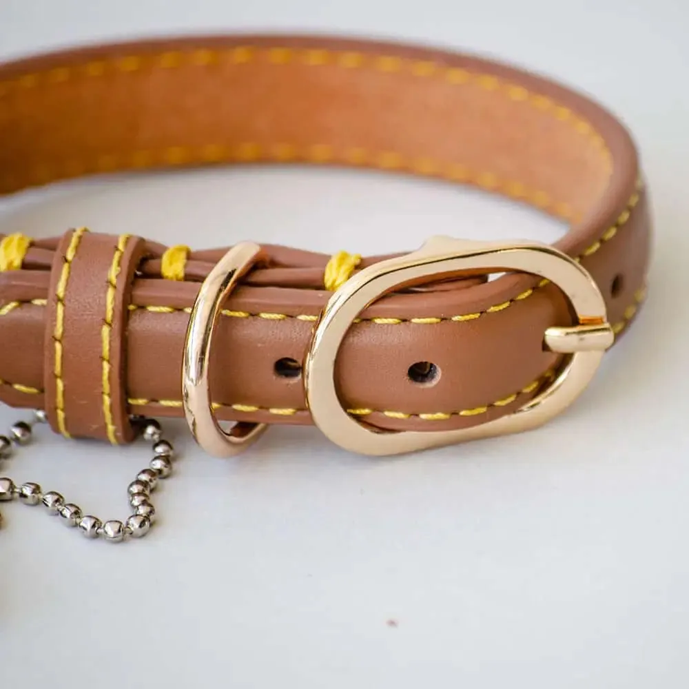 Lederhalsband für Hunde "Summer" - BRAUN